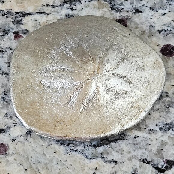 REGINA ANDREW SILVER SAND DOLLAR COASTAL BEACH VASE FILLER HOME TABLE DECOR - Picture 4 of 6